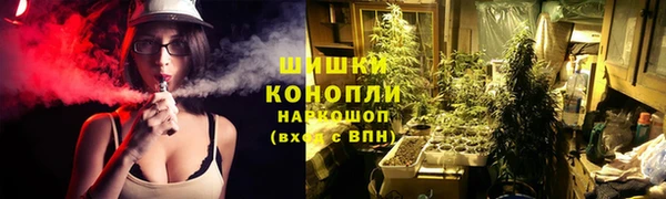 индика Богородицк